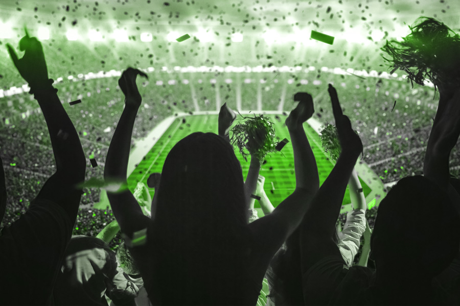 La perception des fans sur le football professionnel